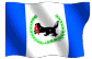 irkflag