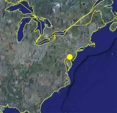 newswedmap