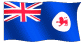 tasmflag