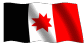 udmflag