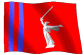 volflag